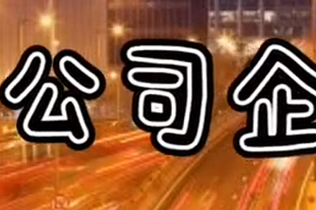 非公司企业