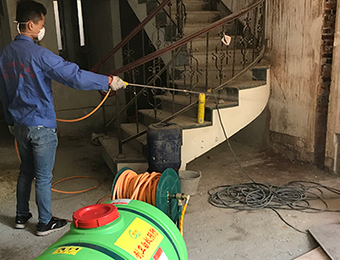 家里面发现白蚁要注意了，这是白蚁虫害的前兆！