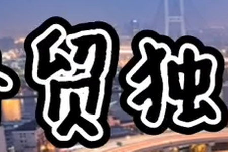外贸独资公司