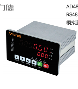 RDD-DGH  显示控制仪表