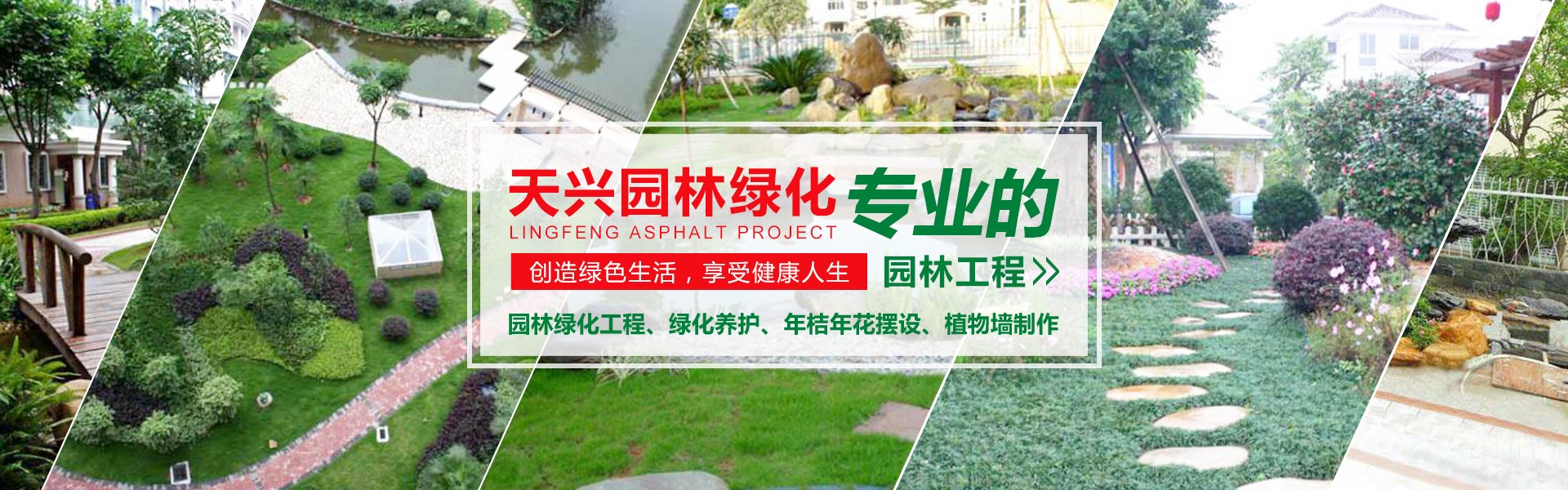 花卉租赁公司有哪些平台好